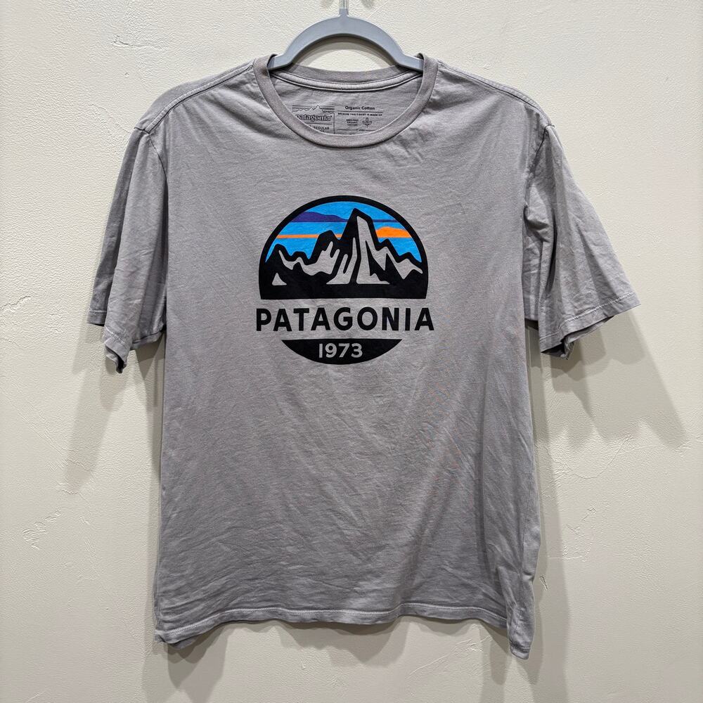 Patagonia Menโs Fitz Roy Scope Organic Tee Gray - Size: Small
